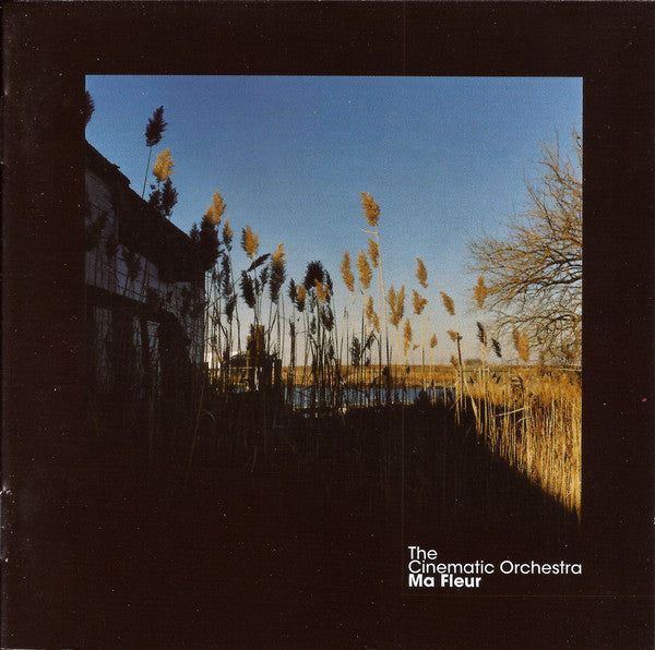 The Cinematic Orchestra : Ma Fleur (CD, Album)