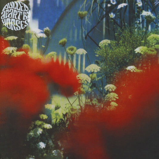 Pulled Apart By Horses : The Haze (LP, Album)