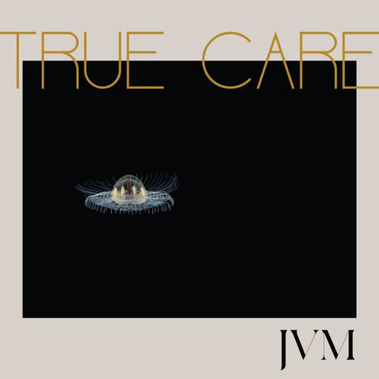 James Vincent McMorrow : True Care (LP, Album + LP, S/Sided, Album)