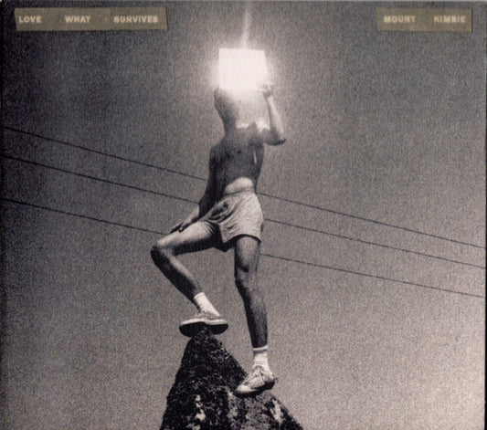 Mount Kimbie : Love What Survives (CD, Album)