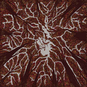 Trash Boat : Crown Shyness (CD, Album)