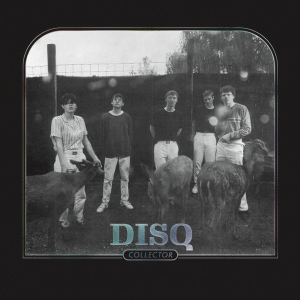 Disq (2) : Collector (LP, Album)