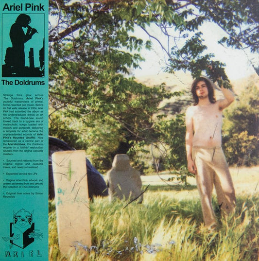 Ariel Pink's Haunted Graffiti : The Doldrums (2xLP, Album, RE, RM)