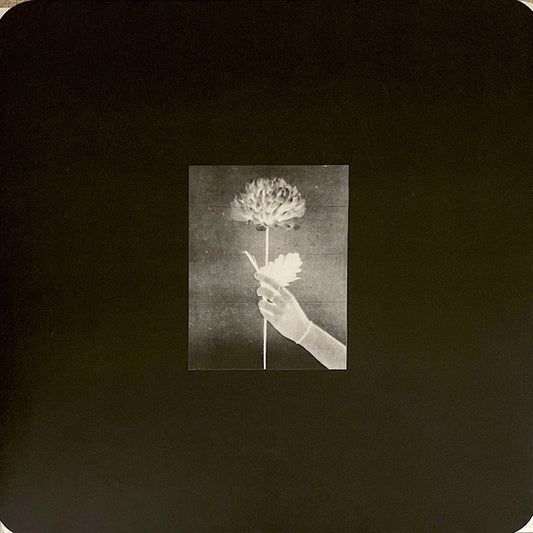 White Flowers : Day By Day (LP, Album, Blu)