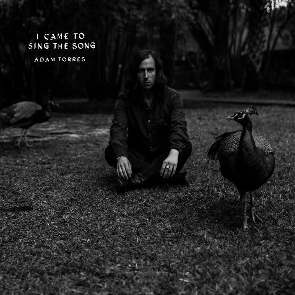 Adam Torres : I Came To Sing The Song (CD, EP)