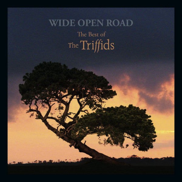 The Triffids : Wide Open Road (The Best Of The Triffids) (CD, Comp)