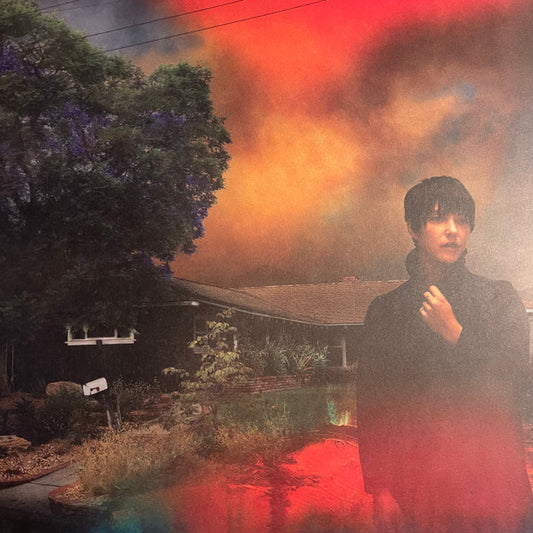 Sharon Van Etten : We've Been Going About This All Wrong (LP, Album)