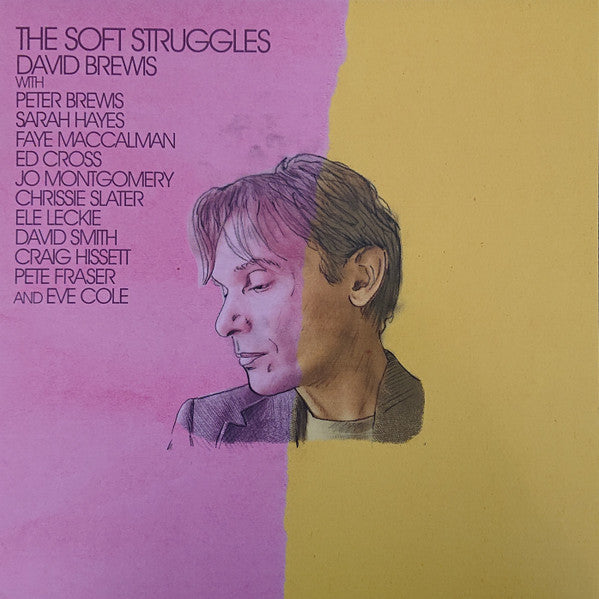 David Brewis : The Soft Struggles (LP, Album)