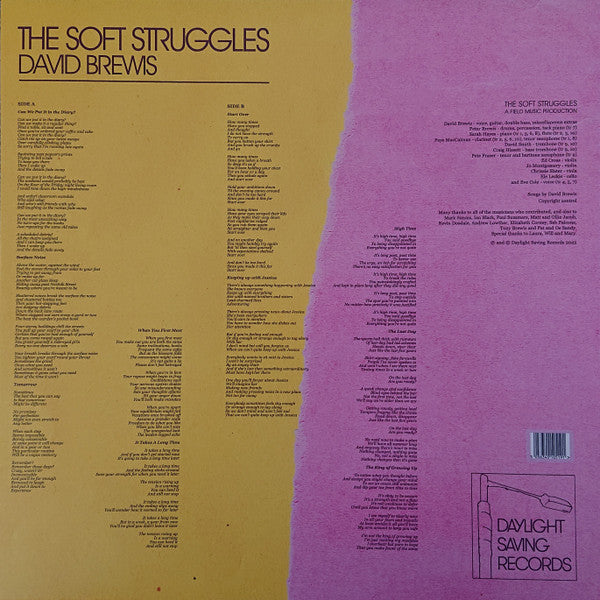 David Brewis : The Soft Struggles (LP, Album)