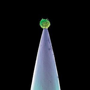 Peter Gabriel : New Blood (CD, Album)