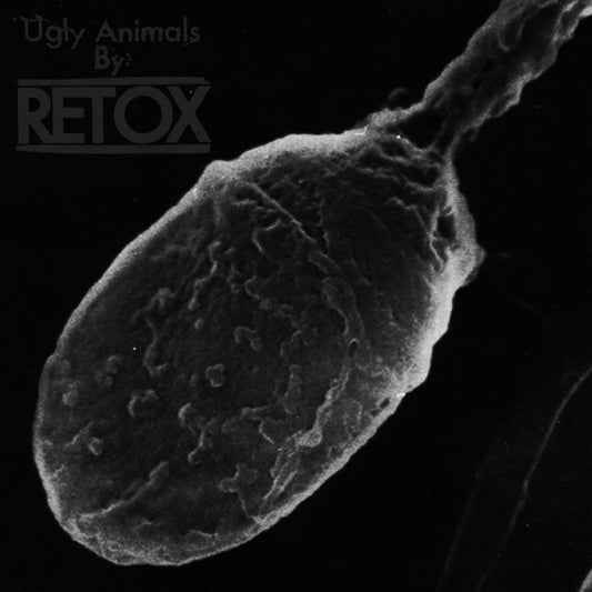 Retox (3) : Ugly Animals (CD, Album)