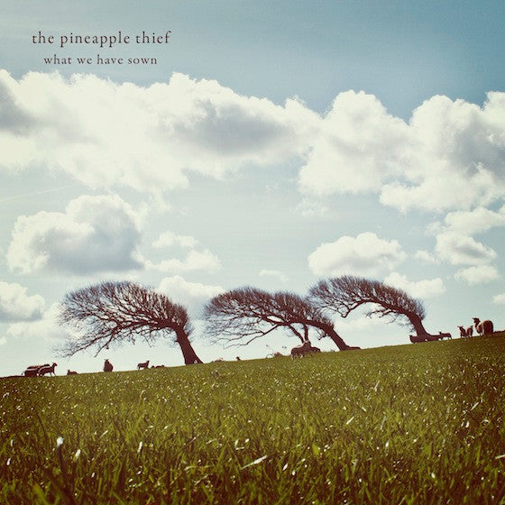 The Pineapple Thief : What We Have Sown (CD, Album, RE, RM)