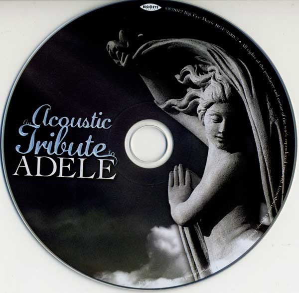 The Acoustic Guitar Troubadours : An Acoustic Tribute To Adele (CD, Album)