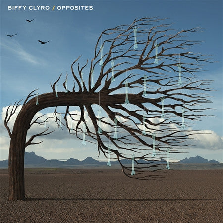 Biffy Clyro : Opposites (CD, Album)