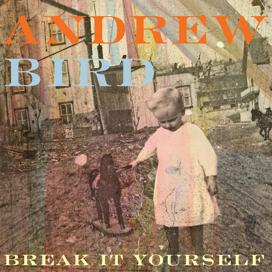 Andrew Bird : Break It Yourself (CD, Album)