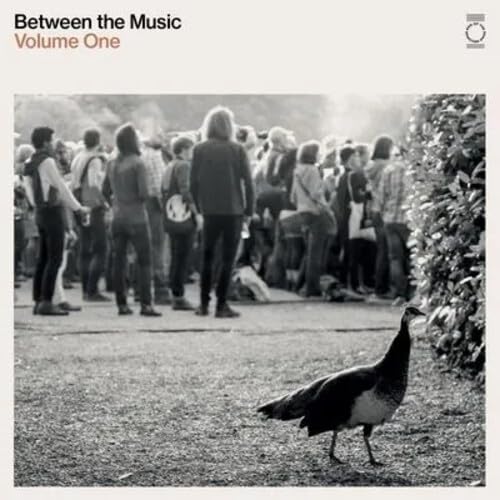 Various Artists End Of The Road Presents: Between The Music (White Coloured Vinyl) Vinyl