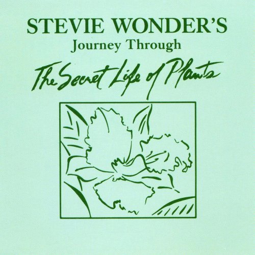 Stevie Wonder Journey Through The Secret Life Of Plants CD