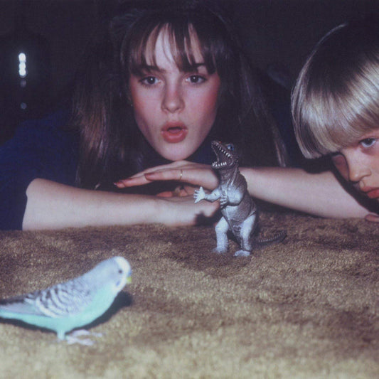 Big Thief Masterpiece Vinyl