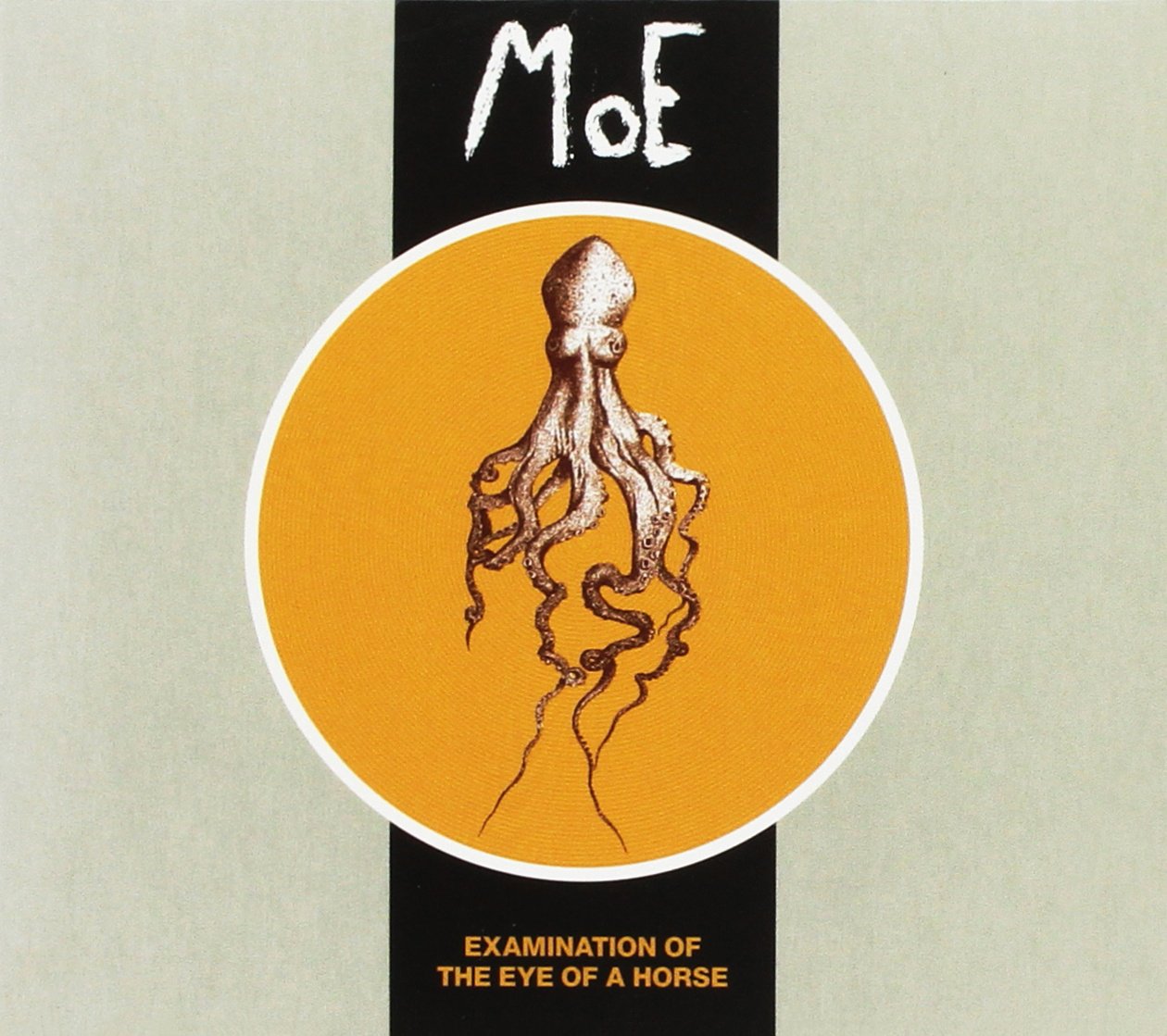 Moe Examination Of The Eye Of A Horse CD