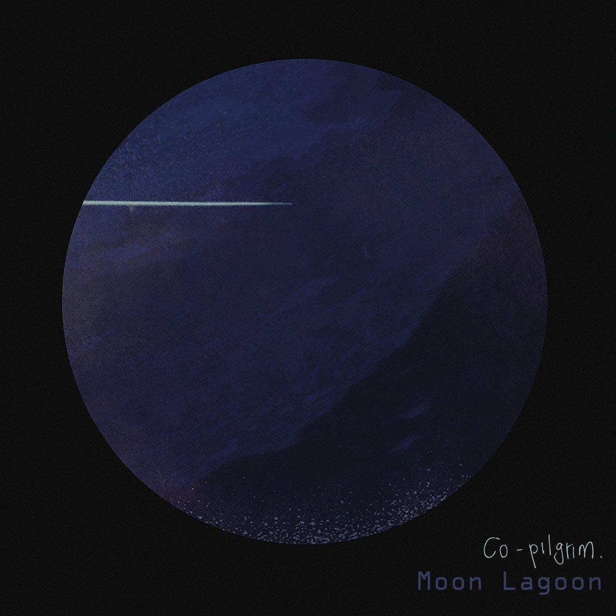 Co Pilgrim Moon Lagoon Vinyl