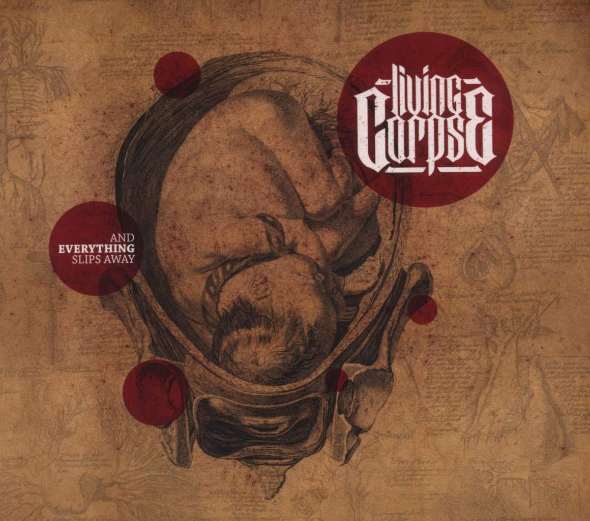 Living Corpse & Everything Slips Away CD