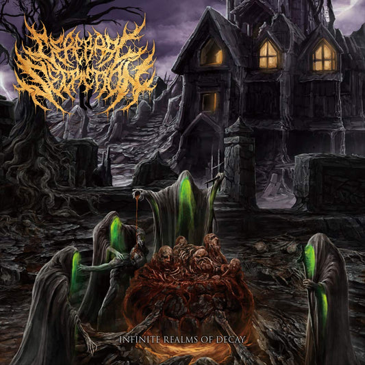 Cerebral Secretion Infinite Realms Of Decay CD