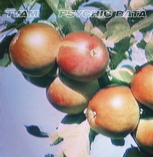 Tvam Psychic Data Vinyl