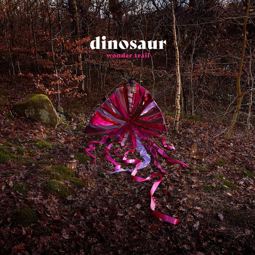 Dinosaur Wonder Trail Vinyl