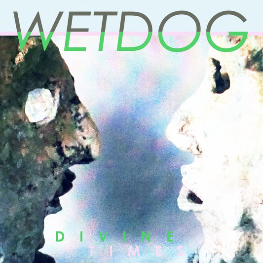 Cd Wetdog Divine Times Vinyl