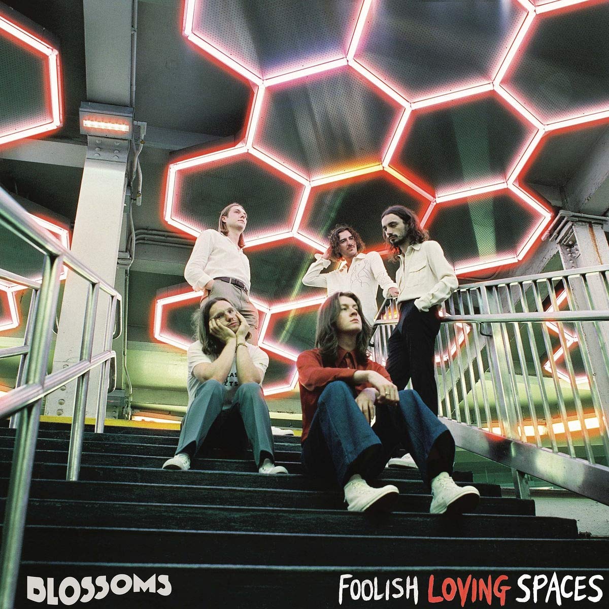 Blossoms Foolish Loving Spaces CD