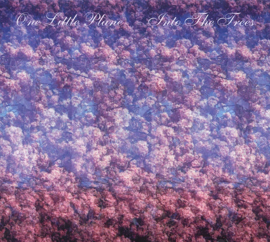 One Little Plane Into The Trees CD