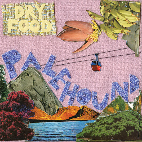 Palehound : Dry Food (CD, Album)