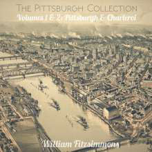 William Fitzsimmons : The Pittsburgh Collection Volumes 1 & 2: Pittsburgh & Charleroi (LP, Comp)