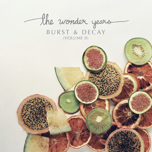 Wonder Years Burst & Decay Vinyl