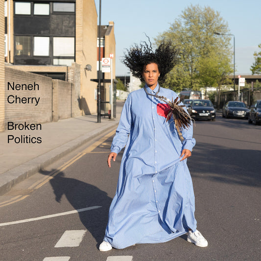 Neneh Cherry Broken Politics Vinyl