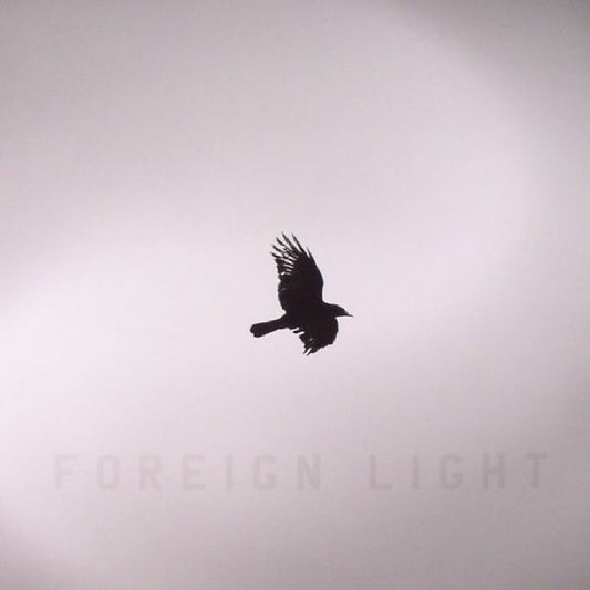 Toddla T : Foreign Light (LP, Album)