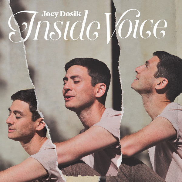 Joey Dosik : Inside Voice (CD, Album)