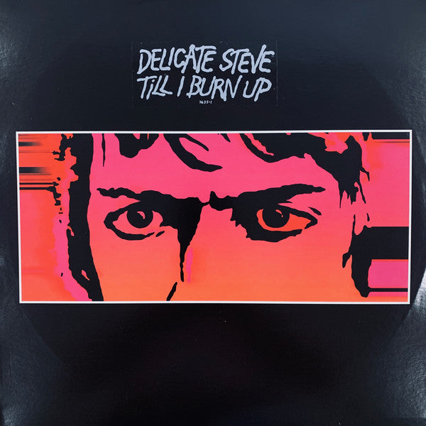 Delicate Steve : Till I Burn Up (LP)