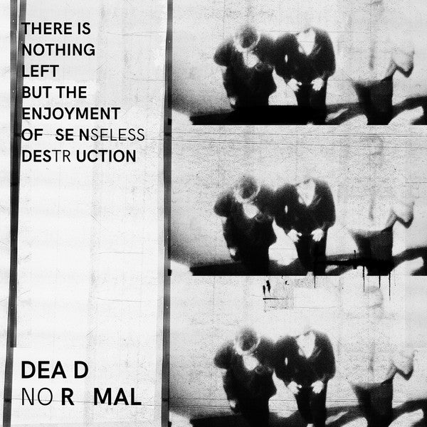 Dead Normal : There Is Nothing Left But The Enjoyment Of Senseless Destruction (12")