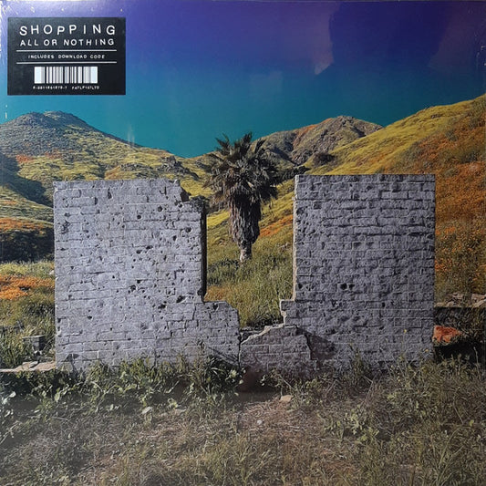 Shopping (3) : All Or Nothing (LP, Album)