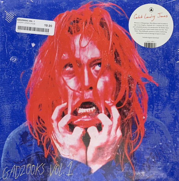 Caleb Landry Jones : Gadzooks Vol. 1 (LP, Album)