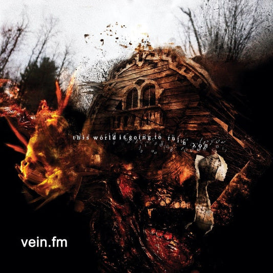 Vein (14) : This World Is Going To Ruin You (LP, Album, Ltd, Red)