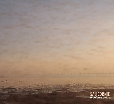 Enrico Coniglio : Salicornie (Topofonie Vol. 2) (CD, Album)