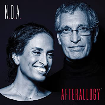 Noa : Afterallogy (LP, Album)