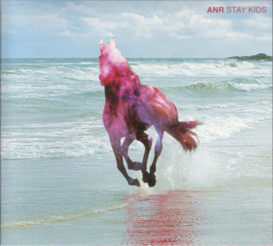 Awesome New Republic : Stay Kids (CD, Album)