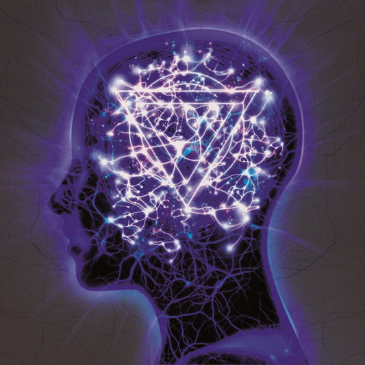 Enter Shikari : The Mindsweep (CD, Album + DVD-V)