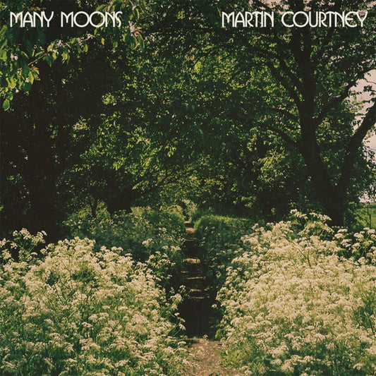 Martin Courtney : Many Moons (LP, Album)